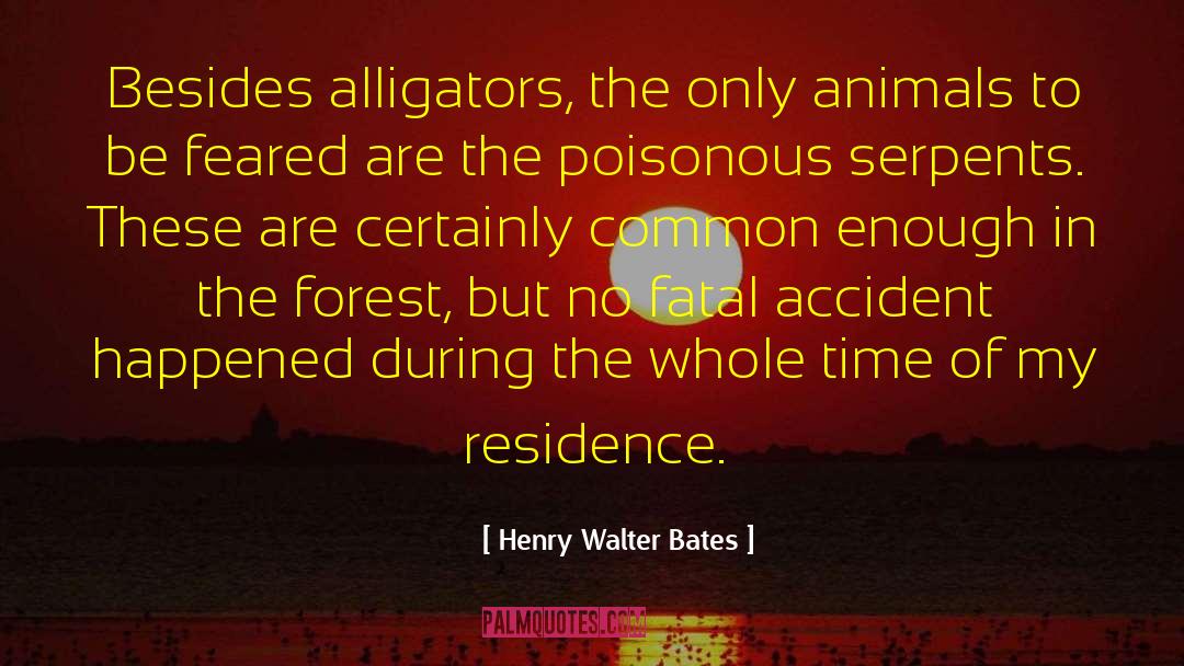 Alligators quotes by Henry Walter Bates
