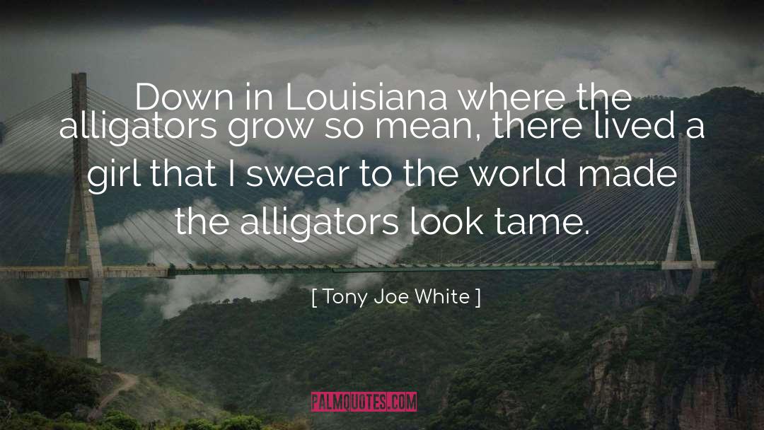 Alligators quotes by Tony Joe White