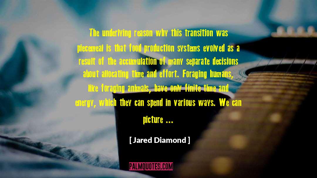 Allocation quotes by Jared Diamond