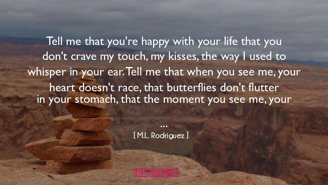 Allow Love In Your Heart quotes by M.L. Rodriguez