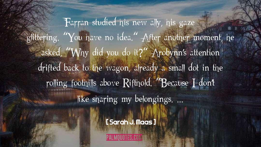Ally quotes by Sarah J. Maas