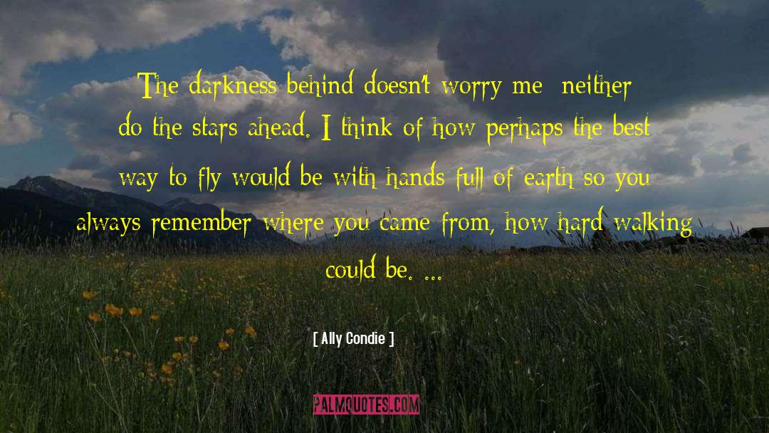 Allyson Braithwaite Condie quotes by Ally Condie