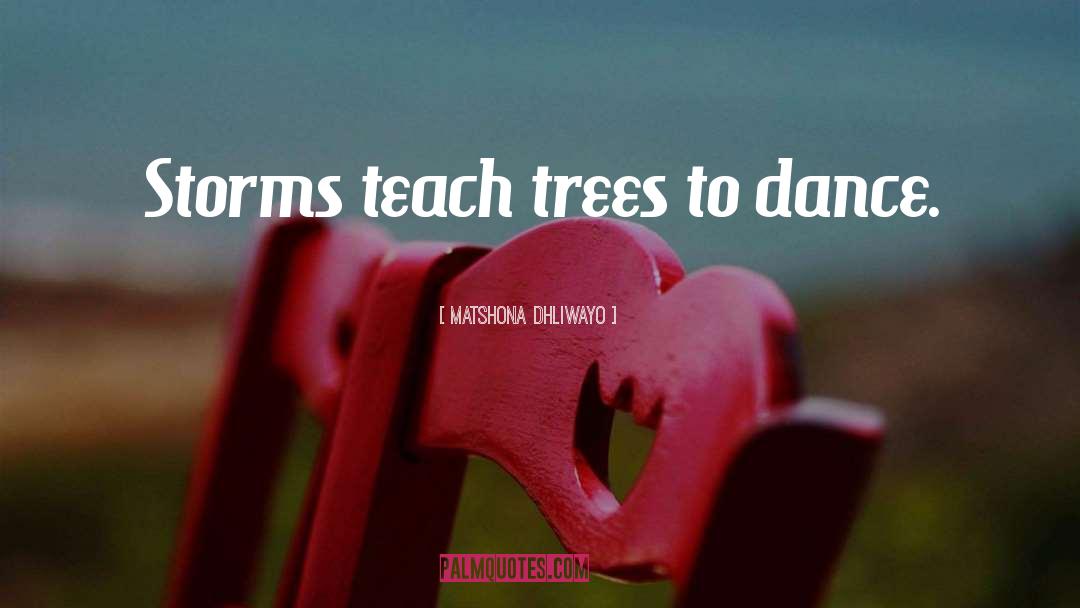 Almendros Tree quotes by Matshona Dhliwayo