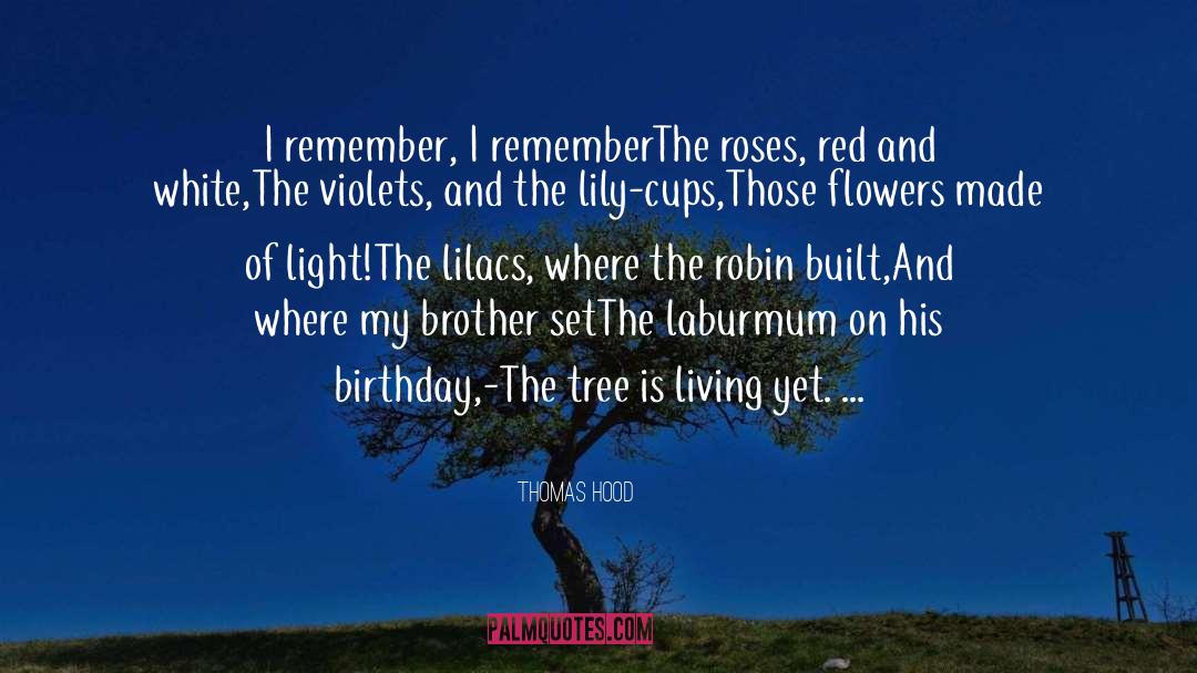 Almendros Tree quotes by Thomas Hood