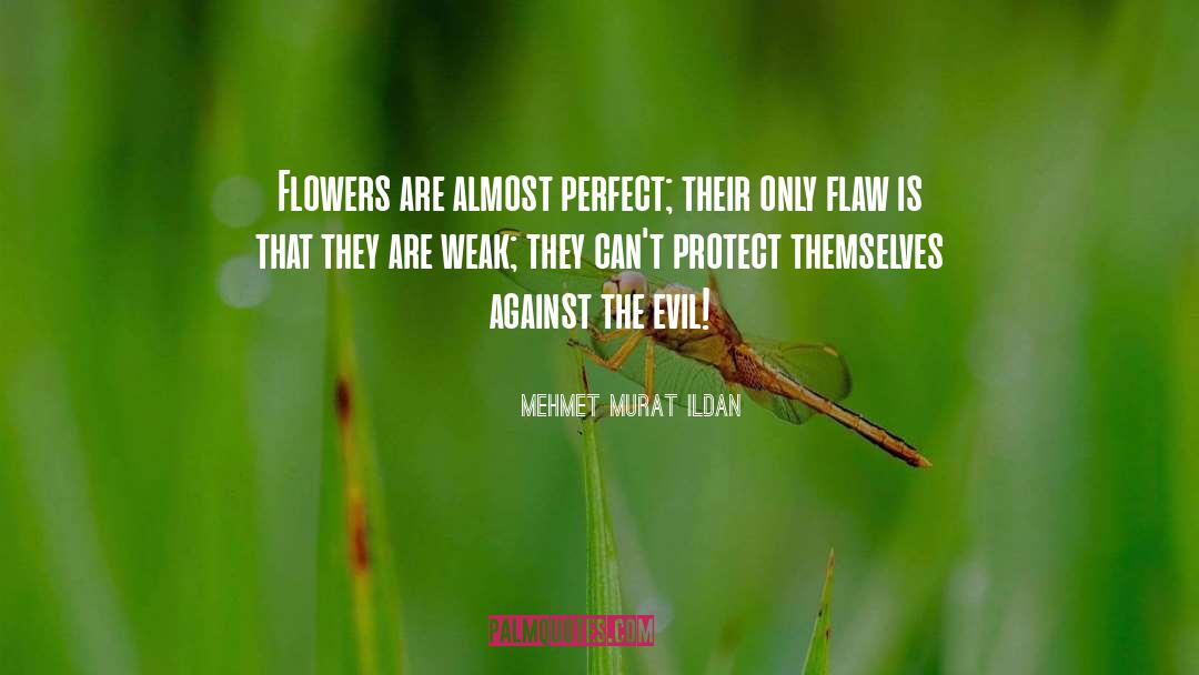 Almost Perfect quotes by Mehmet Murat Ildan