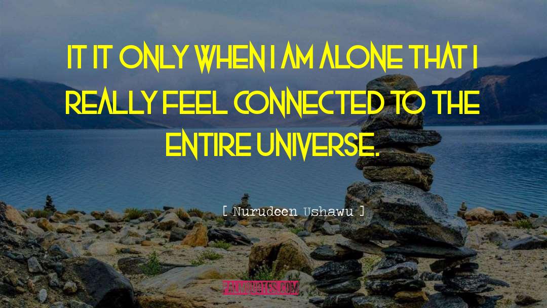 Alone But Not Lonely quotes by Nurudeen Ushawu