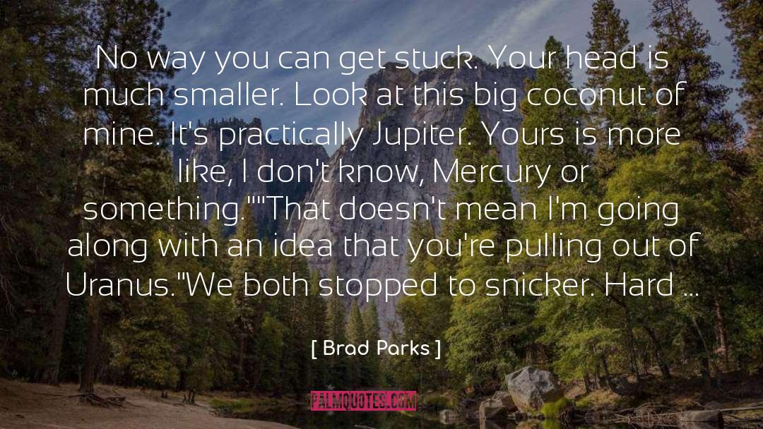 Along quotes by Brad Parks