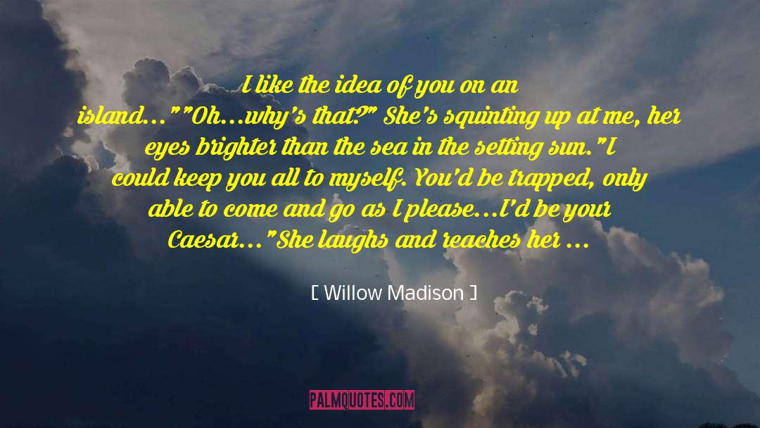 Alpha Male Romance quotes by Willow Madison