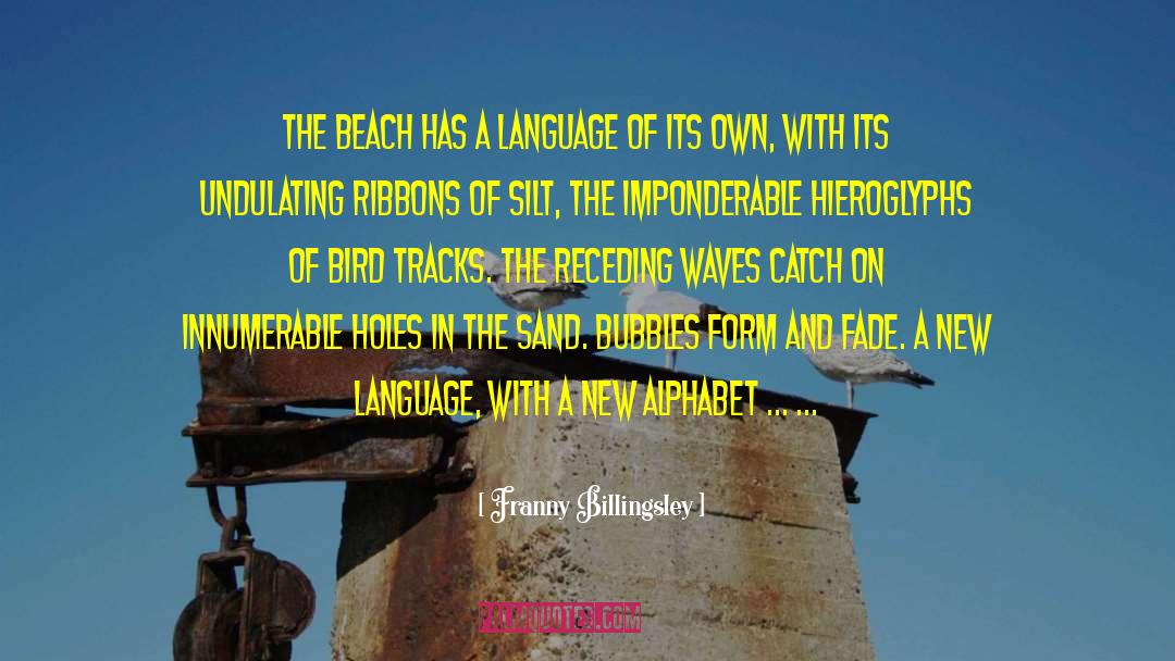 Alphabet Leasing quotes by Franny Billingsley