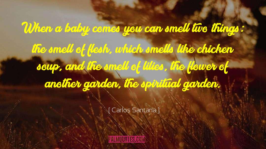 Alphabet Soup quotes by Carlos Santana