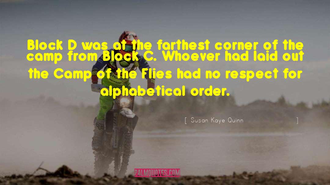 Alphabetical Order quotes by Susan Kaye Quinn