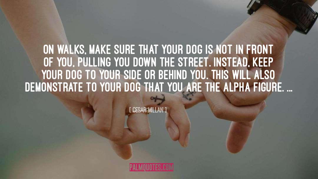 Alphas quotes by Cesar Millan