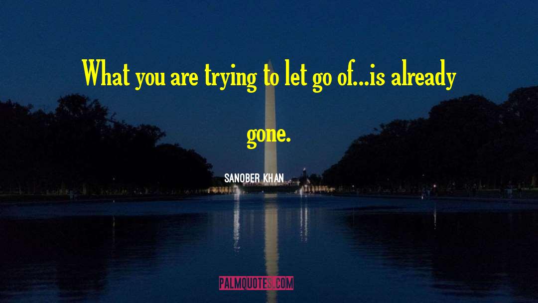 Already Gone quotes by Sanober Khan