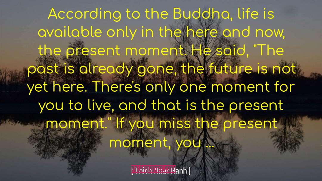 Already Gone quotes by Thich Nhat Hanh