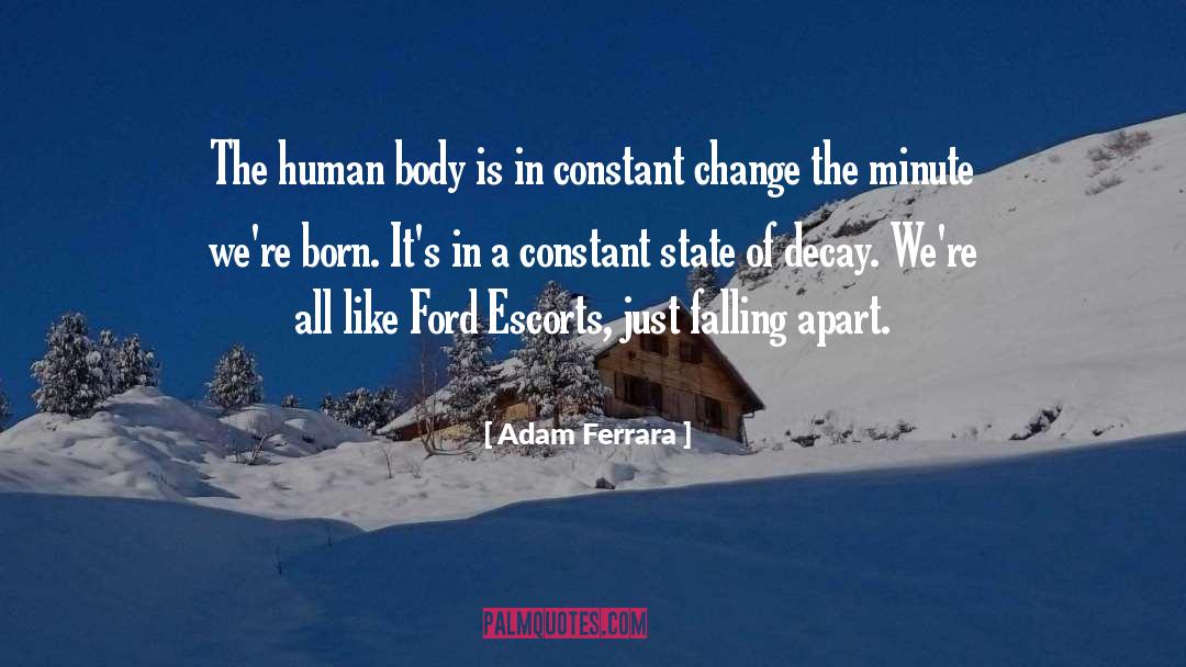 Also Funny quotes by Adam Ferrara