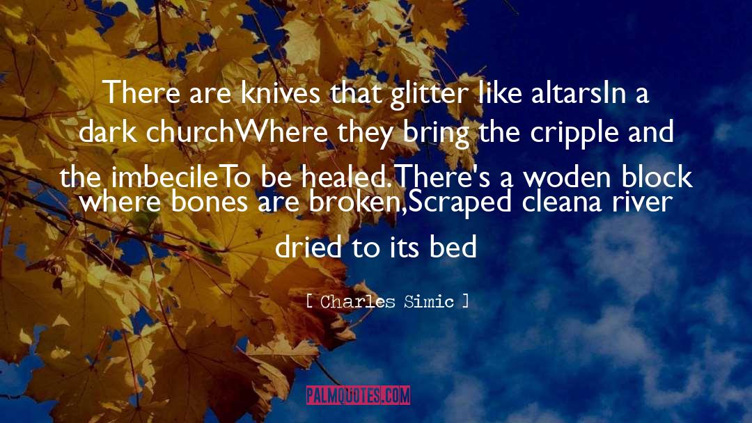 Altars quotes by Charles Simic