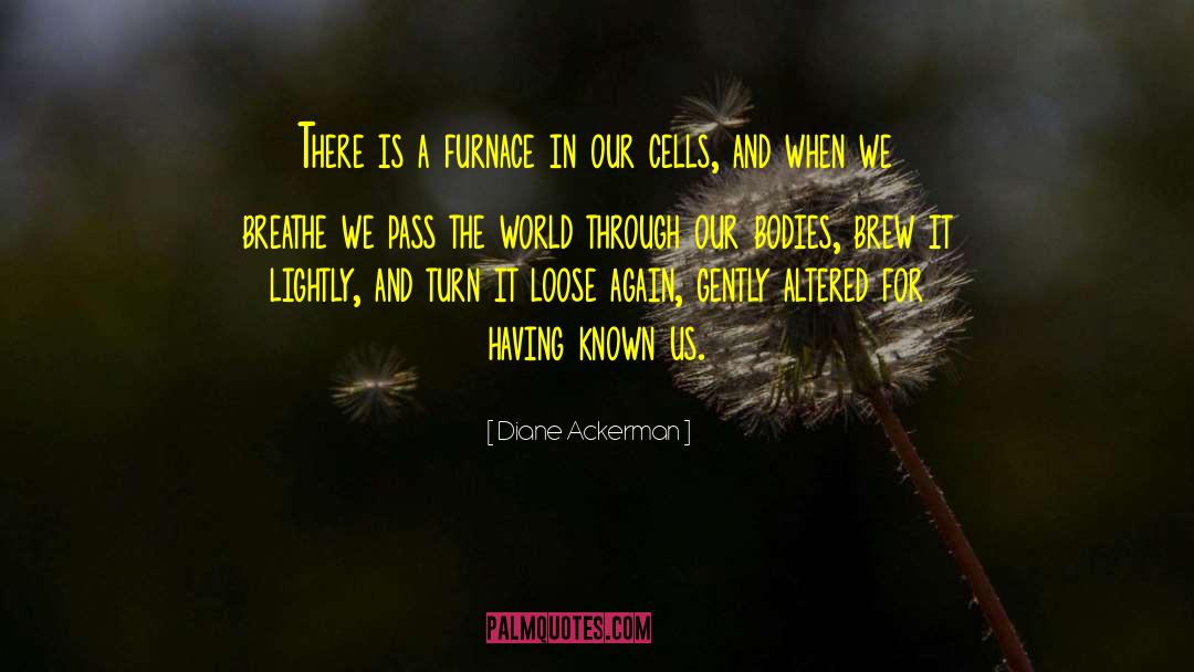 Altered quotes by Diane Ackerman