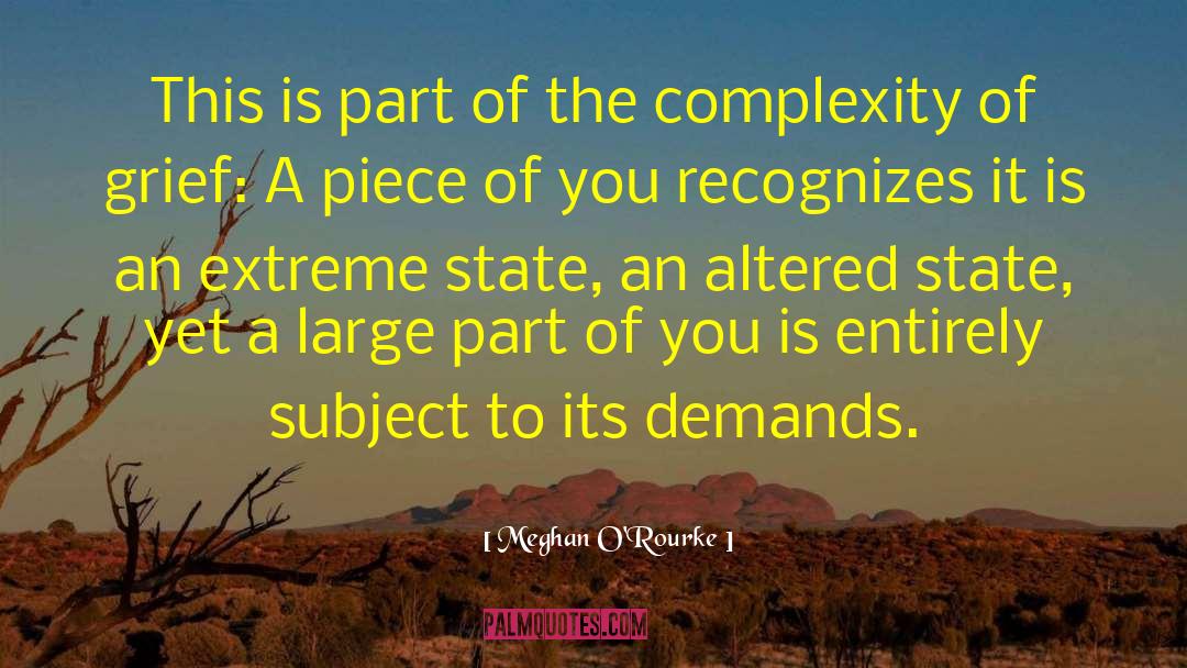 Altered States Of Concsciousness quotes by Meghan O'Rourke