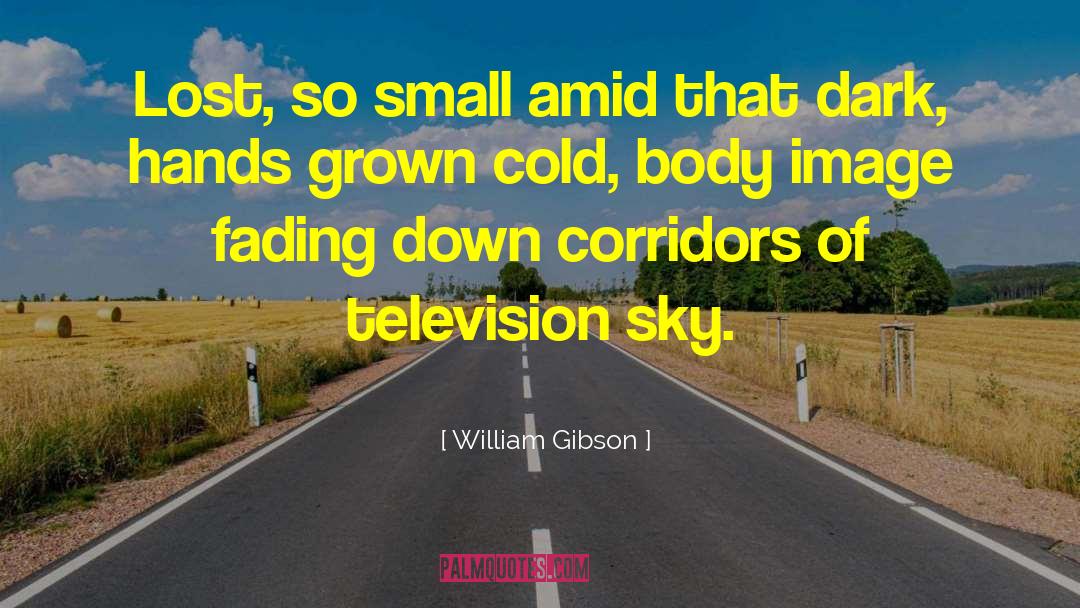 Altered States Of Concsciousness quotes by William Gibson