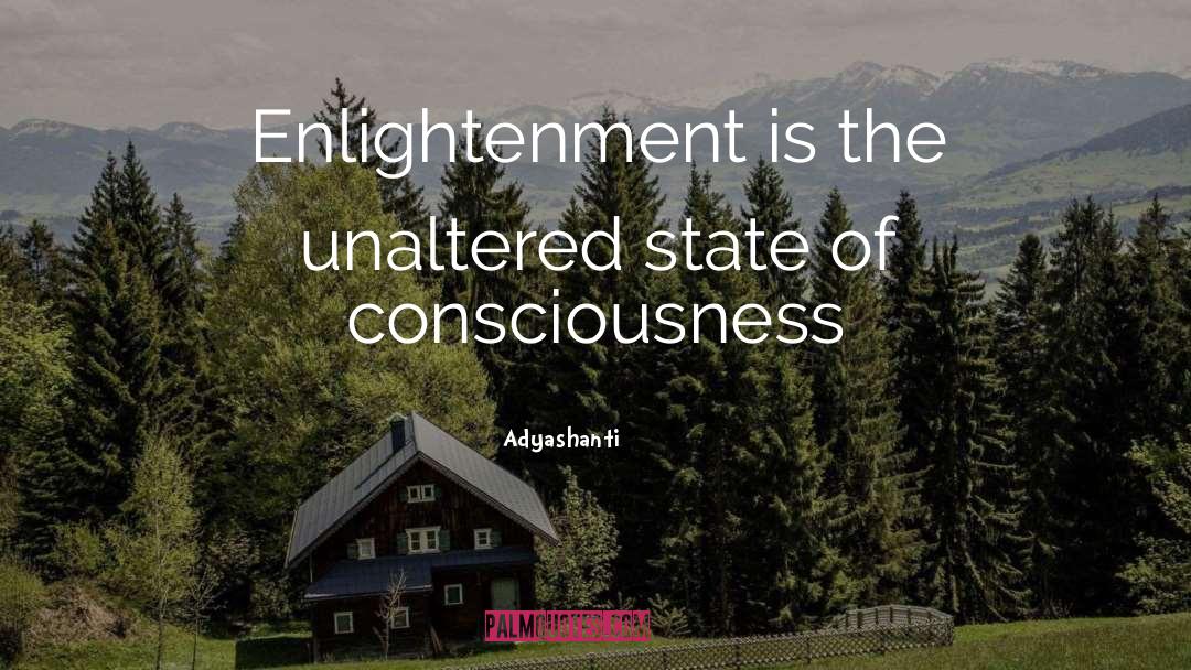 Altered States Of Consciousness quotes by Adyashanti