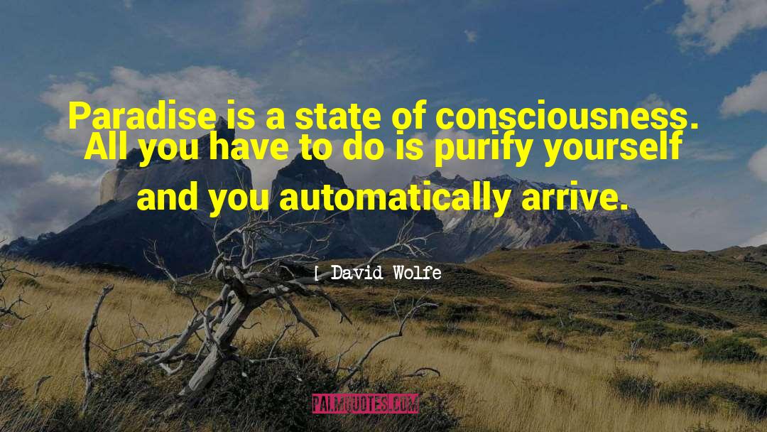 Altered States Of Consciousness quotes by David Wolfe