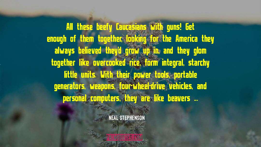 Altering quotes by Neal Stephenson