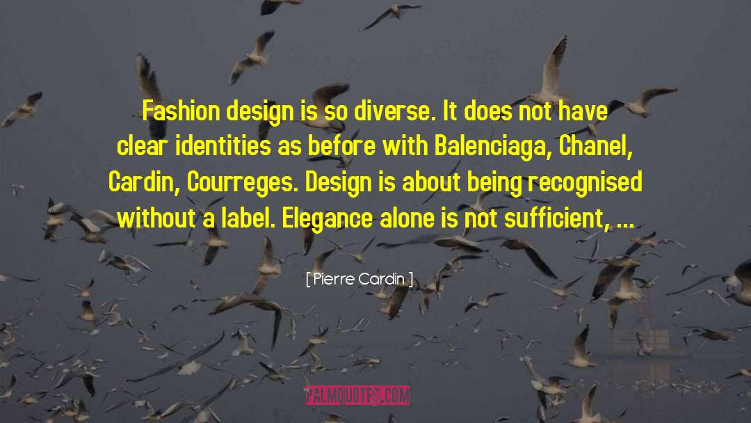 Alternate Identities quotes by Pierre Cardin