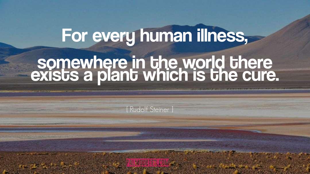 Alternative Healing quotes by Rudolf Steiner