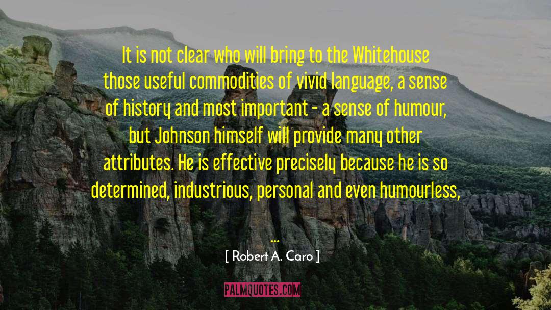 Alternative Humour quotes by Robert A. Caro