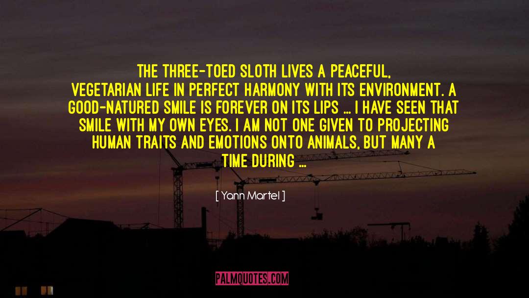 Alternative Lives quotes by Yann Martel