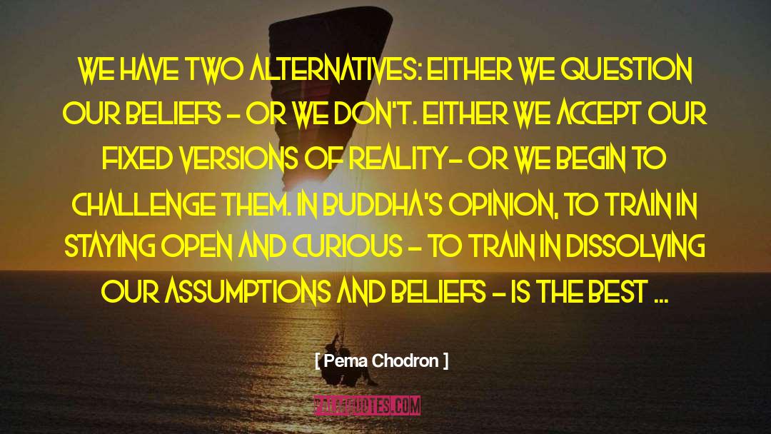 Alternatives quotes by Pema Chodron
