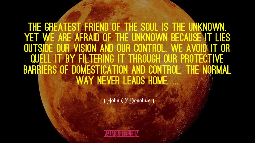 Altimate Vision quotes by John O'Donohue