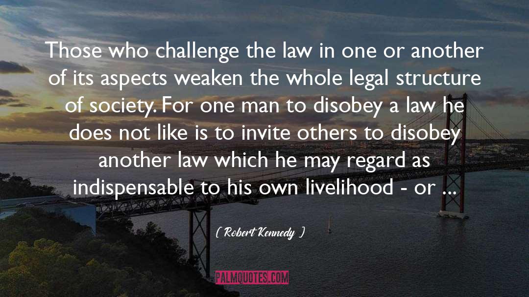 Altitude Of Life quotes by Robert Kennedy