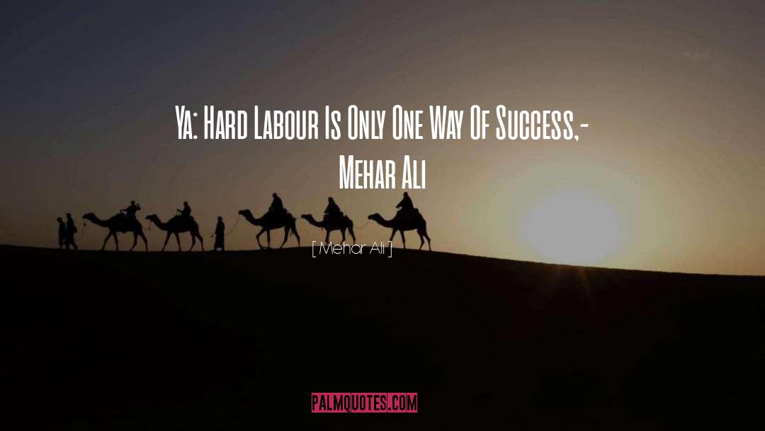 Altitude Of Success quotes by Mehar Ali