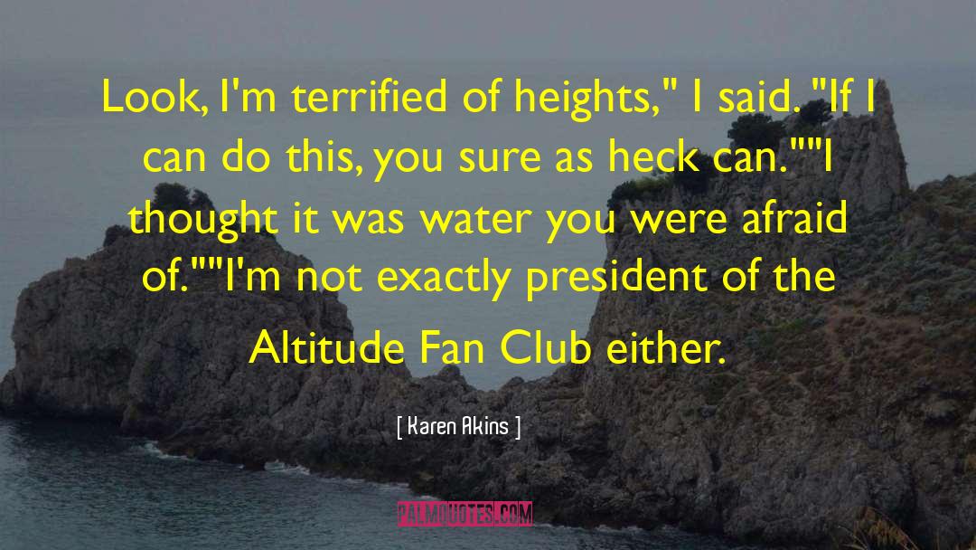 Altitude quotes by Karen Akins