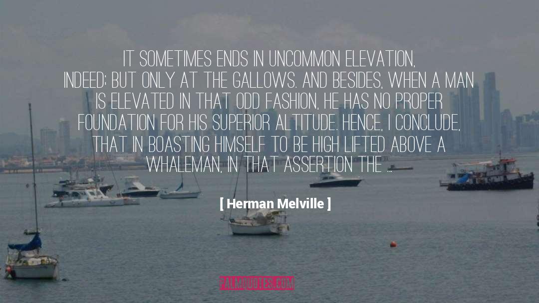 Altitude quotes by Herman Melville