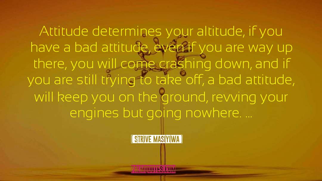 Altitude quotes by Strive Masiyiwa