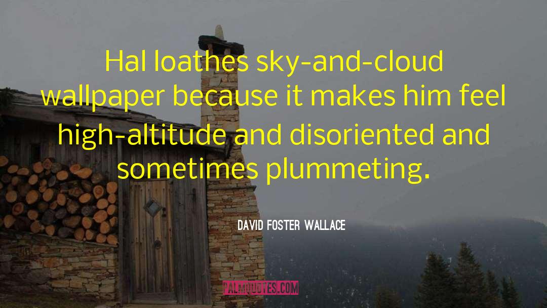 Altitude quotes by David Foster Wallace