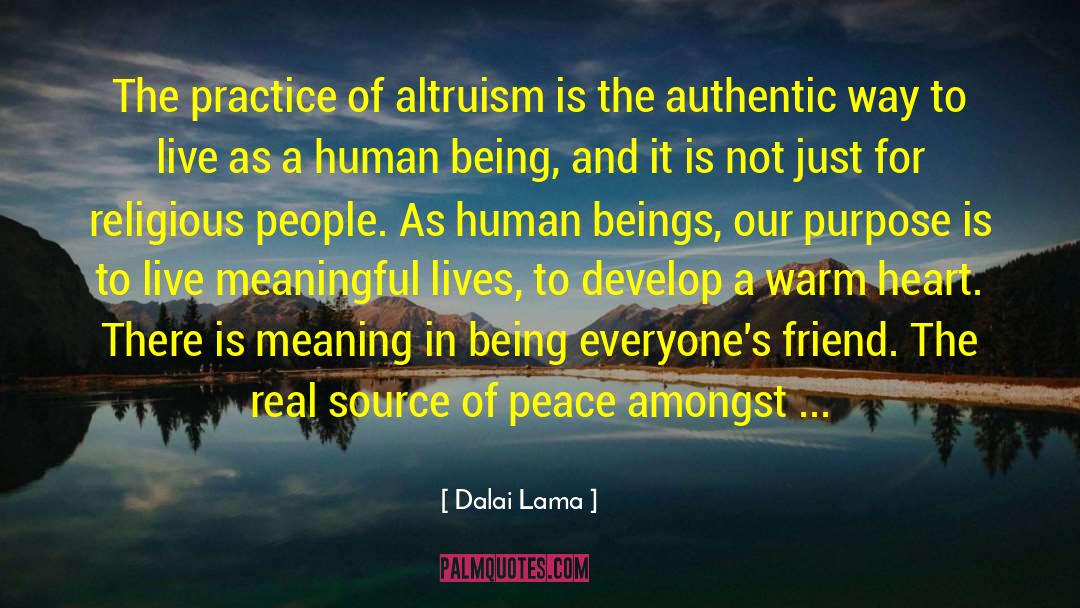 Altruism quotes by Dalai Lama