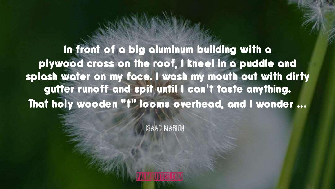 Aluminum quotes by Isaac Marion