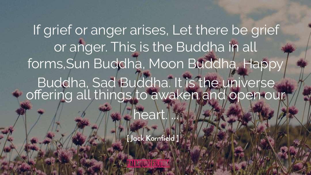 Alvida Sad quotes by Jack Kornfield