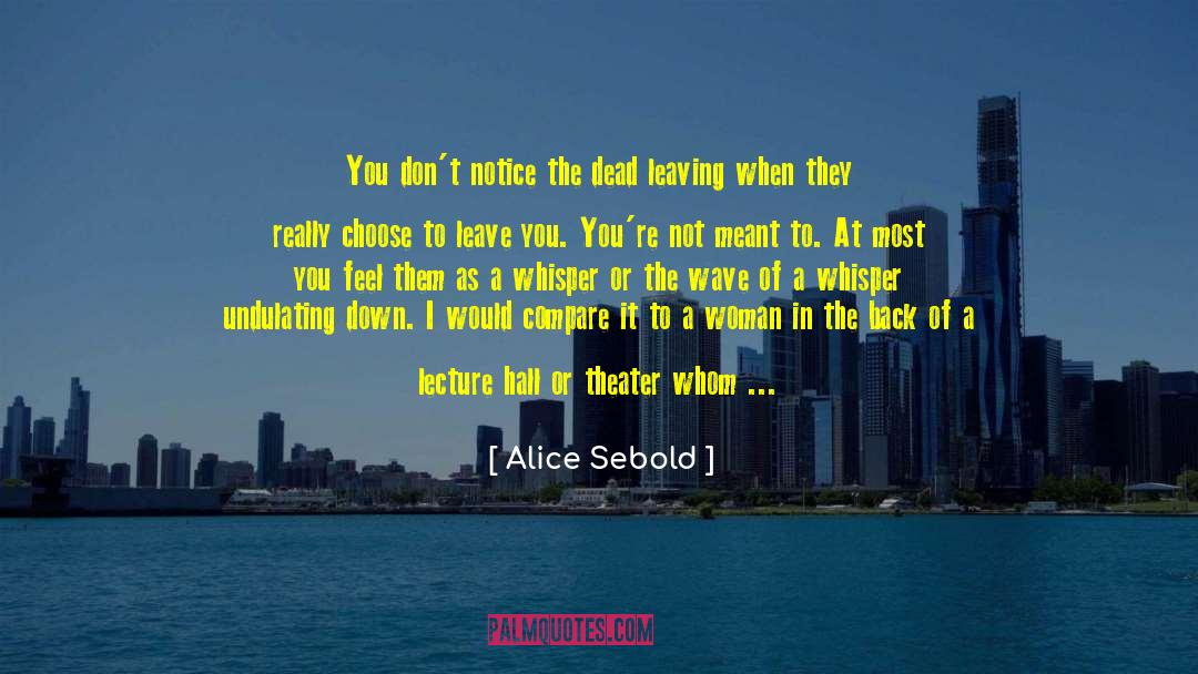 Always Room For Improvement quotes by Alice Sebold