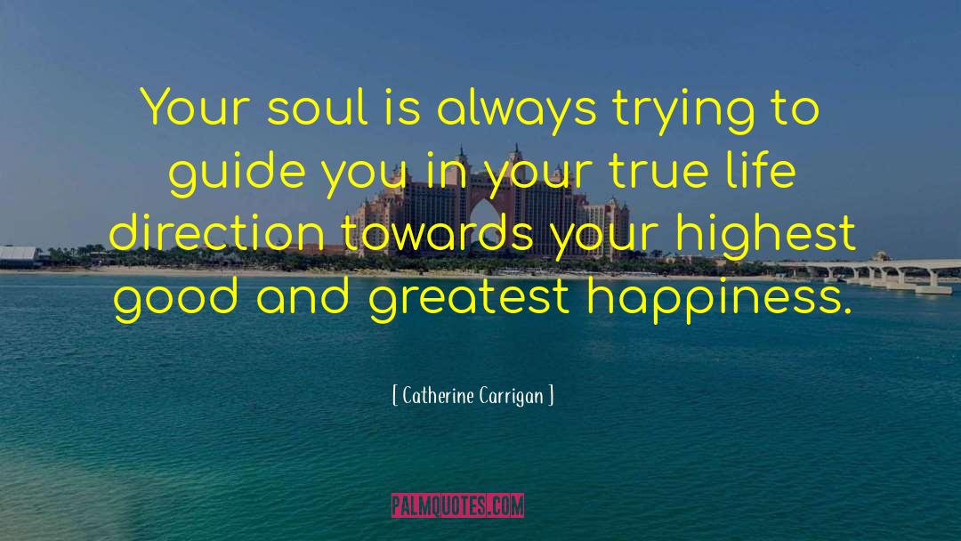 Always Trying quotes by Catherine Carrigan