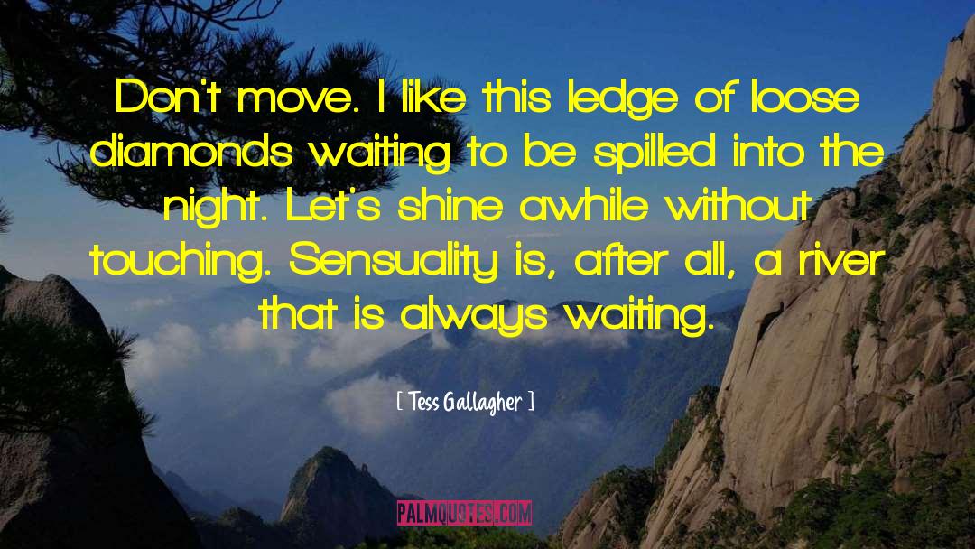 Always Waiting quotes by Tess Gallagher