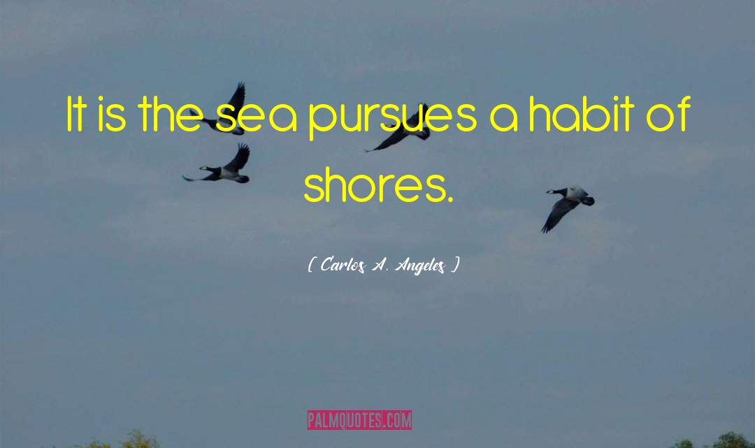 Alyanna Angeles quotes by Carlos A. Angeles