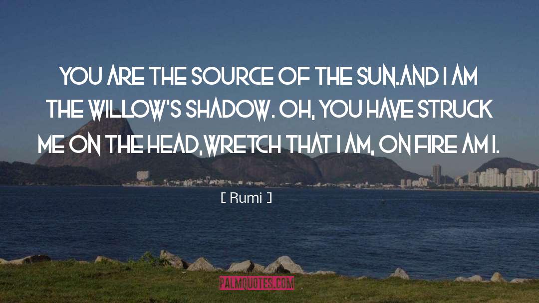 Am On quotes by Rumi
