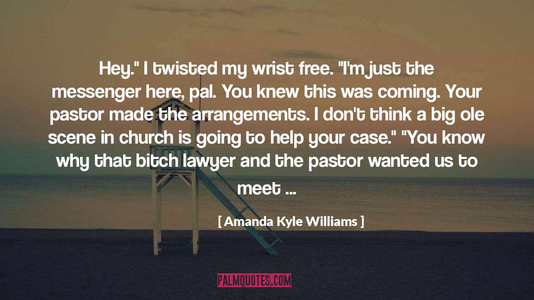 Amanda Jones quotes by Amanda Kyle Williams