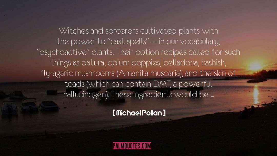 Amanita Muscaria quotes by Michael Pollan