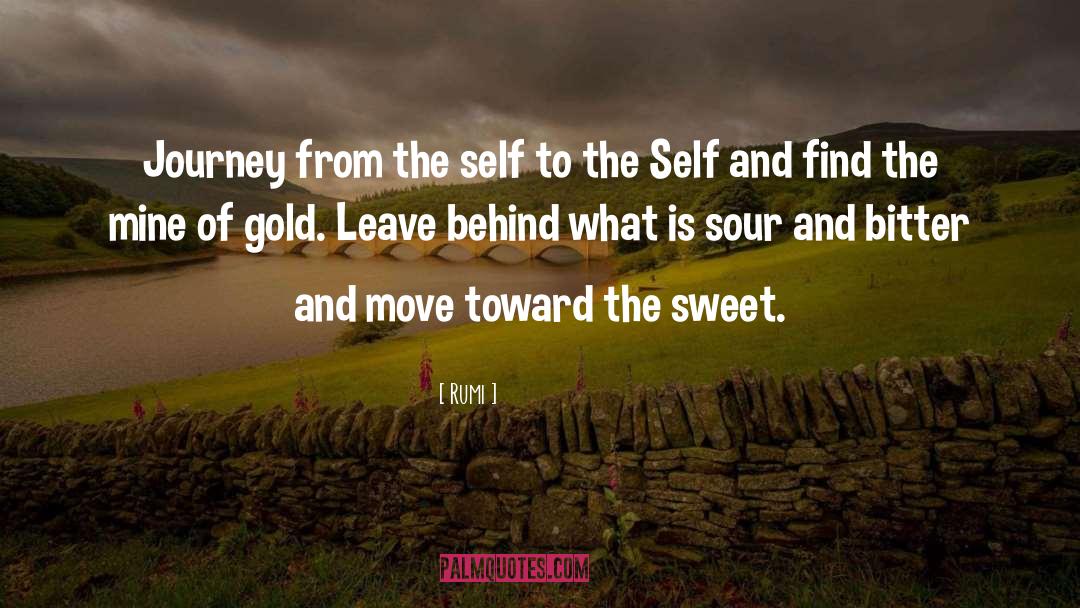 Amaretto Sour quotes by Rumi