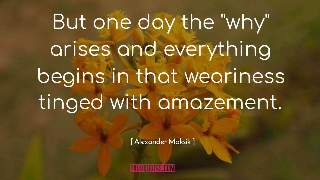 Amazement quotes by Alexander Maksik